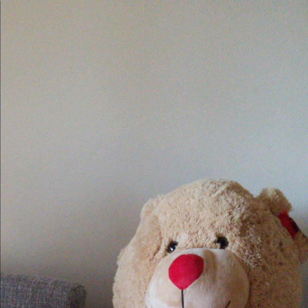 Meet your Posher, Beata